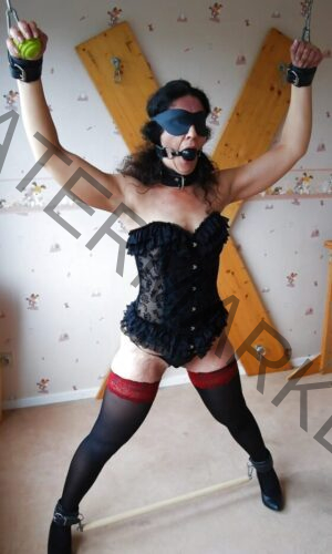 Ready for her Master's or Mistress's pleasure